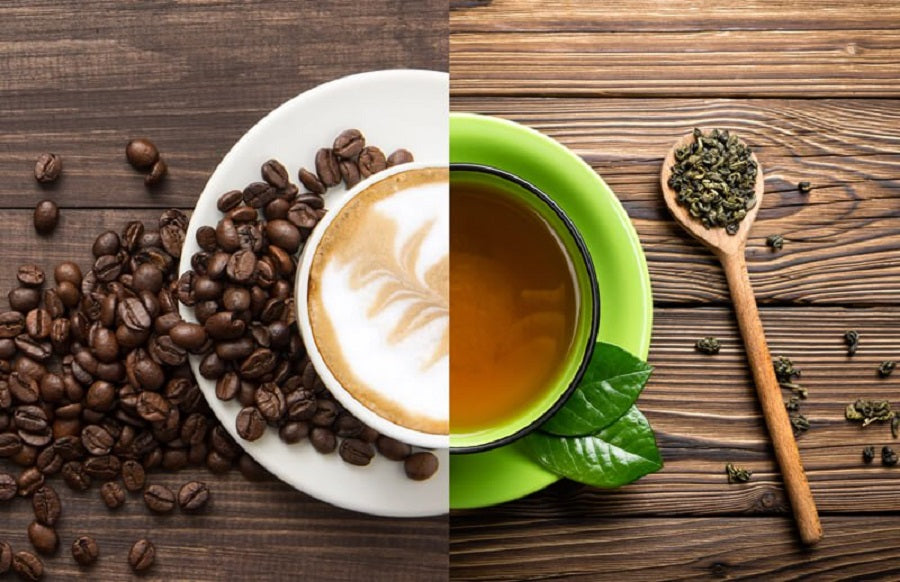 Camellia Sinensis tea vs. Coffee